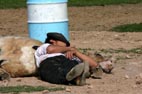 Estancia